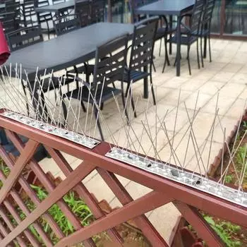 15/12/18 шт. шипы против птиц для защиты голубей от птиц снаружи шипы из нержавеющей стали S