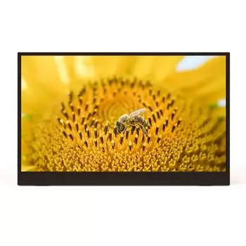 15,6-дюймовый монитор FHD 1080P для ноутбука IPS-экран Портативный игровой внешний монитор Plug & Play с PU чёрный