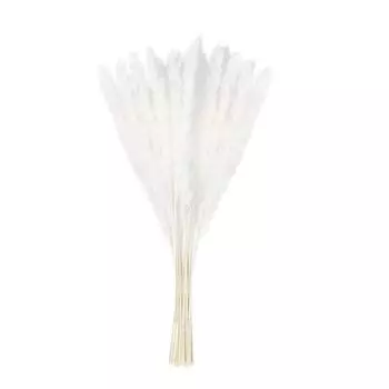 15 шт./пучок сушеных пампасных цветов, трава, сделай сам, свадебный букет, украшение, долговечный, праздничный декор стола для вечеринки белый