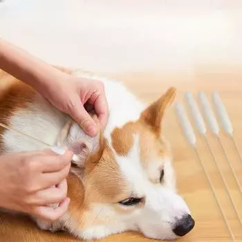 15 см, 6 дюймов длиной, ватные палочки с деревянными двойными ручками, ватный наконечник, аппликатор для очистки с деревянной ручкой для масляной косметики 6 packs белый