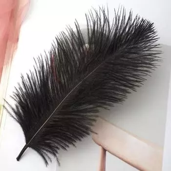15 см Черное Страусиное Перо Diy Ловец Снов Ювелирные Изделия Ремесла Материал Белое Перо Свадебный Фон Украшения Стены 20pcs чёрный