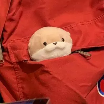 15 см милые плюшевые куклы-выдры, брелоки, легкий подвесной кулон, реквизит для школьной сумки, кошелек для ключей, кукла, игрушки, подарки