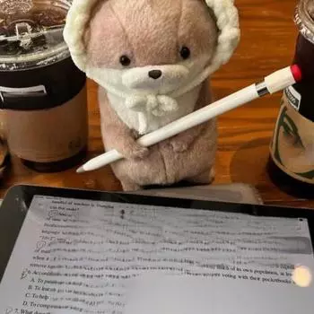 15 см милые плюшевые куклы-выдры, брелоки, легкий подвесной кулон, реквизит для школьной сумки, кошелек для ключей, кукла, игрушки, подарки