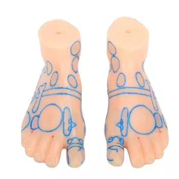 15 см профессиональный массаж стоп акупунктурная акупунктурная зона рефлексионная модель обучающий инструмент