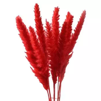 15 сушеных пампасных тростниковых цветов, букет для домашнего подарка на вечеринку, декор в стиле бохо, розовый