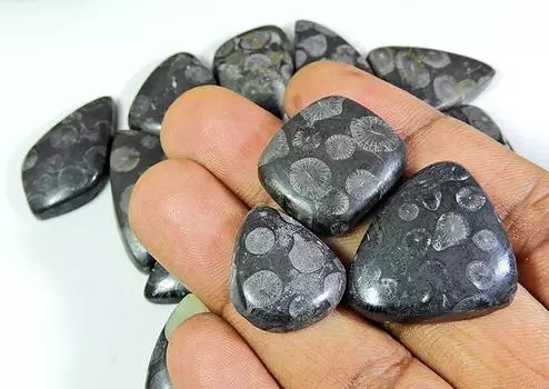 17-28 мм натуральный черный ископаемый коралловый микс кабошон россыпью драгоценный камень 20 шт. лот RQ-149