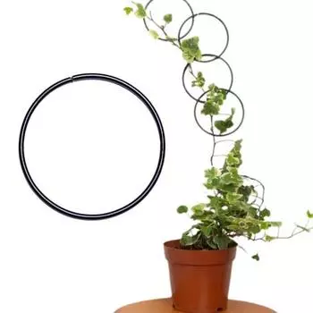 18 шт., цепная решетка, аксессуары для комнатных и уличных растений, виноградная лоза Монстера, плющ, восходящая решетка, съемная опора для виноградной лозы для растений чёрный