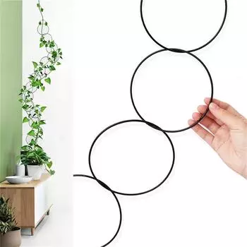 18 шт. шпалер для вьющихся растений, металлическое кольцо для поддержки комнатных растений, круглая цепная шпалера Black (18 circles + 6 hooks)