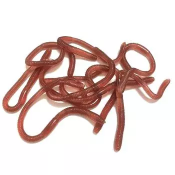 18 см 5G имитация насекомого модель Tpr мягкая резина маленькое животное псевдо длинный червь