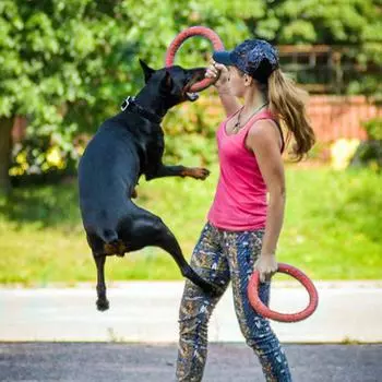 18cm Floating Water Dog Toys Pet Flying Disk Training Ring Interactive Toy Puller Resistant Aggressive Chewing for Small Dogs 18cm