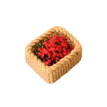 1:12 кукольных миниатюрных бамбуковых плетеных цветочных корзин, растительных украшений, мини-зеленых растений, цветочных горшков, садовых горшочков, модель домашнего декора красный