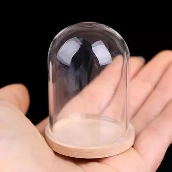 1:12 кукольных миниатюрных цветочных витрин, стеклянный стеклянный колпак с деревянной основой, модель для кукольного домика, домашний декор, детские игрушки, подарок 40*80mm