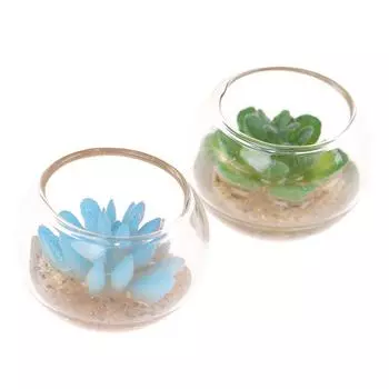 1:12 Миниатюрных кукольных домиков, мини-модели суккулентных растений в горшках, аксессуары
