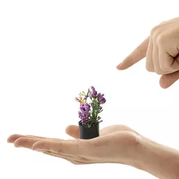 1/12 Миниатюрный цветочный бонсай, 1:12 Кукольный домик Растение в горшке, в горшке, Aureate