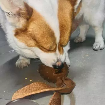 1/2/3 шт. жевательные игрушки для собак в форме кофейных зерен, головоломка, дозатор лакомств, интерактивная игрушка для перетягивания зубов у щенков 1pc