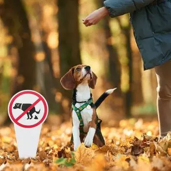 1/2/3 шт. Знак «Нет собачьим какашкам» для двухстороннего наружного сада, газона и двора 1pc