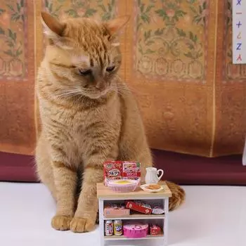 1:2 кукольных домика миниатюрный деревянный стол остров платформа книжный шкаф стеллаж для хранения мини витрина шкаф мебель модель игрушка