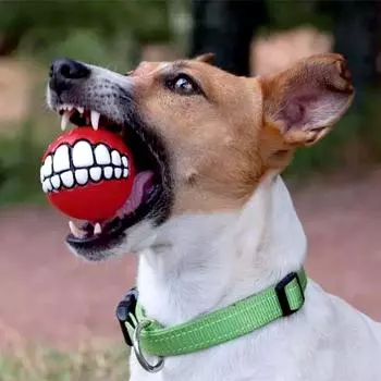 1/3/10pcs Rubber Dog Teeth Ball Toys Squeaky Cleaning Tooth Dog Chew Toy Colorful Funny Pet Toy With Smile Pattern Pet Products 1pcs