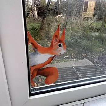 1/3/5 шт. наклейка на стену с подглядывающей белкой, наклейки для стен и окон 5PCS