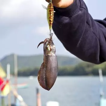 1-3 шт. светящаяся плавающая приманка Egi 5,5 г, деревянная креветка, горизонтальный лазер, кальмар, крючок для ловли креветок, осьминога, каракатицы, рыболовные приманки 1 pcs