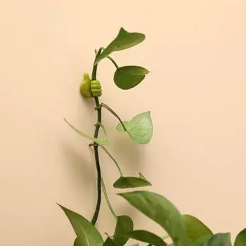 1/3PCS Wire Arranger Mobile Phone Charging Cable Earphone Cable Storage Portable Phone Accessories Multifunctional Clip Silicone