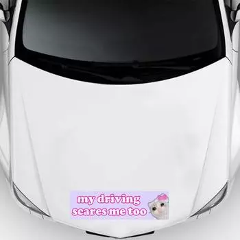 1/5/10/20pcs Funny Meme Sticker Self Adhesive Learner My Driving Scares Me Too Driver Sticker Car Accessories