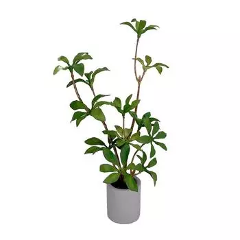 1:6 кукольных миниатюрных растений в горшке с зелеными листьями, горшок для растений, бонсай, домашний садовый декор, игрушка, аксессуары для кукольного дома