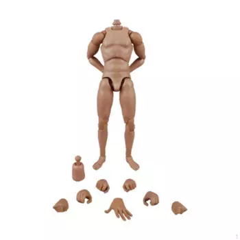 1:6 масштаб мужская фигура тело легкая коллекция узкие плечи гибкие