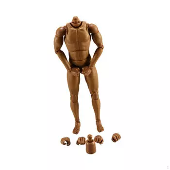 1:6 масштаб мужская фигурка тело эскиз модель эскиз DIY коллекция