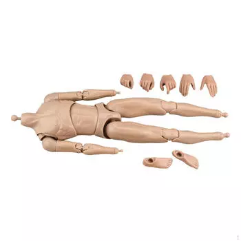 1/6 Масштаб Мужское Тело Кукла Легкая DIY Миниатюрная Коллекция Мышц