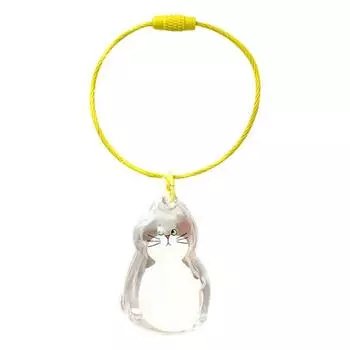 1/6 шт. Мемориальный кулон-брелок в стиле кошки, прозрачная бутылочка для хранения кошачьей шерсти, брелок для ключей, мемориальные аксессуары для питомцев A