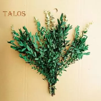 1 букет, букет из сушеных цветов, без увядания, декоративные, бессмертные, привлекательные, последний навсегда сухой комплект эвкалипта, товары для дома