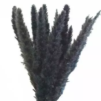 1 букет, очаровательная трава, цветочный, неувядаемый, сделай сам, композиция из сушеных пампасов, натуральная пампасная трава, декор в стиле бохо