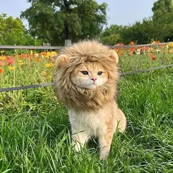 1 Cat Set Lion Mane Wig Pet Adjustable and Comfortable, Stylish Lion Hair Halloween Christmas Easter Party Event Cat Headwear S коричневый