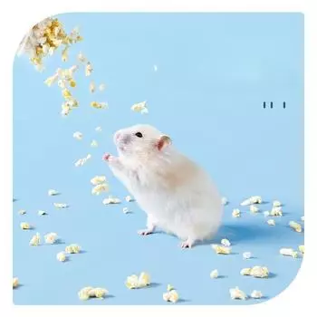 1 кг наполнитель для домика для хомяка абсорбирующие бумажные гранулы ландшафтный дизайн Золотая клетка для медведя бумажные обрезки хомяка ландшафтный нижний материал