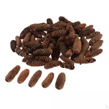1 кг сосновых шишек, украшение для шишковидной железы, ювелирная ваза, чаша 1-6 см
