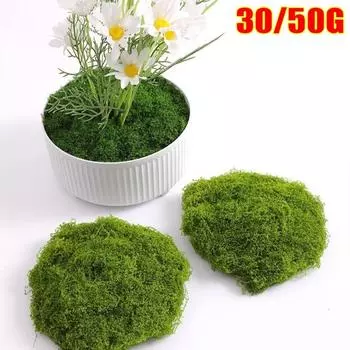 1 компл.. украшения, микропейзаж, зеленый мох для горшечных растений, искусственная трава, прочный имитация мха 30g