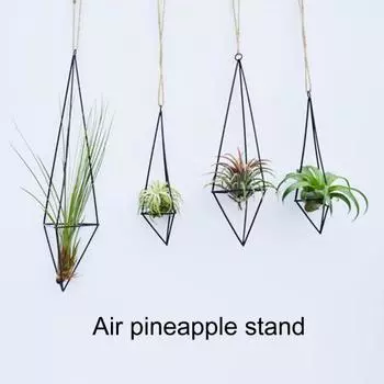 1 комплект держателя для воздушного растения, геометрическая форма, эстетическая структура, 3D-визуальный эффект, простота установки, широкая установка S