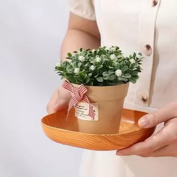 1 комплект фруктовых тарелок, поднос для пищевых костей, гладкая поверхность, лотки для хранения тортов, квадратная форма, прозрачная текстура, магазин, декор десертного стола, легкие подносы для торта коричневый