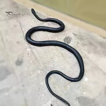 1 комплект, игрушка для розыгрыша в виде змеи для гольфа с зажимом для четкой линии, имитация резиновой змеи на веревке, дразнящая друзей, хитрые реквизиты, дети, взрослые, кляп для вечеринки на Хэллоуин, подарок чёрный