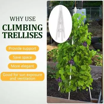 1 комплект, кронштейн для восхождения на растения, нержавеющая садовая решетка, простая установка, опоры для восхождения на растения для домашнего двора 80cm чёрный