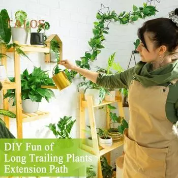 1 комплект настенных шпалер для растений, металлическая цепочка-звезда, опора для виноградной лозы, для внутреннего и наружного сада, настенная решетка для Pothos Monstera Ivy Wisteria 1 Set