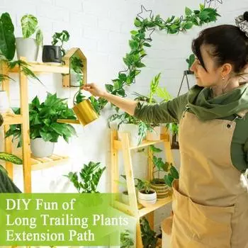 1 комплект настенных шпалер для растений, металлическая звездообразная цепочка, опора для виноградной лозы