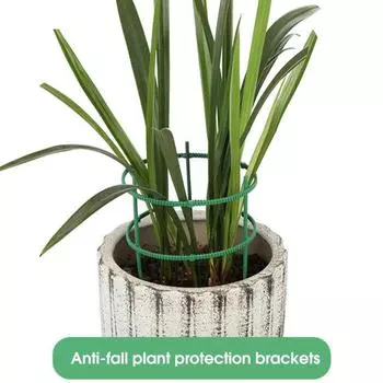 1 комплект прочных держателей для цветов, простая установка, отличное кольцо для растений, садовый инструмент для бонсай