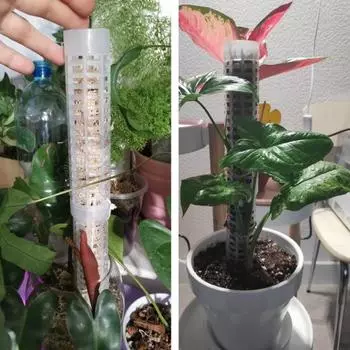 1 комплект, рамка для лазанья, высокая прочность, штабелируемая пластиковая опора для мха, горшечные растения, поддерживающая палка для скалолазания, садовые принадлежности 2pcs