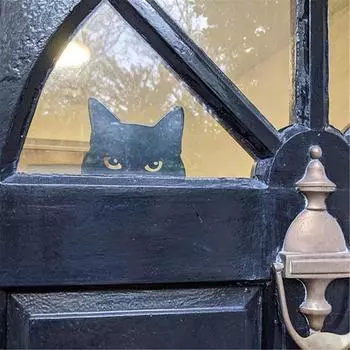 1 комплект садовой колышки с покрытием без ржавчины, острый кончик, реалистичный вид, декоративный, устойчивый к атмосферным воздействиям, черный выглядывающий кот B