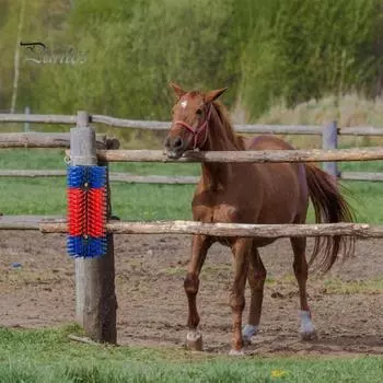 1 комплект щетки для царапин для скота с винтом с жесткой щетиной, козы, крупного рогатого скота, коровы, овцы, лошади, свиньи, полный массажный скребок для животных, скруббер, инструмент для чистки и ухода жёлтый