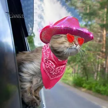 1 комплект, шляпа для домашних животных, шарф, комплект очков, ковбойский стиль, светодиодный свет, глянцевая шляпа, линзы в форме сердца, на шнуровке, накидка на шею, костюм для косплея кошки, собаки, реквизит для фотосессии розы красного