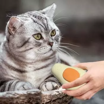 1 комплект Steamy Cat Brush 3-в-1 Самоочищающаяся массажная щетка для домашних животных Нежная расческа для ухода за собаками зелёный