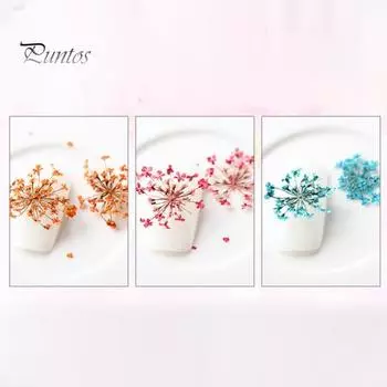 1 коробка, 10 г, сушеные цветы для украшения ногтей, 12 цветов, натуральные цветочные смешанные сухие цветы, сделай сам, ювелирные изделия, подвески, маникюрный декор, УФ-гель-лак, принадлежности для дизайна ногтей C